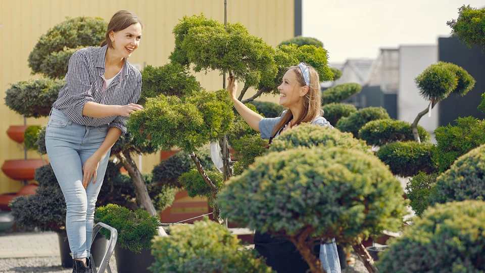 Seasonal Splendor: Embracing Your Garden's Ever-Changing Beauty